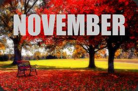 Jarigen november