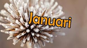 Jarigen januari